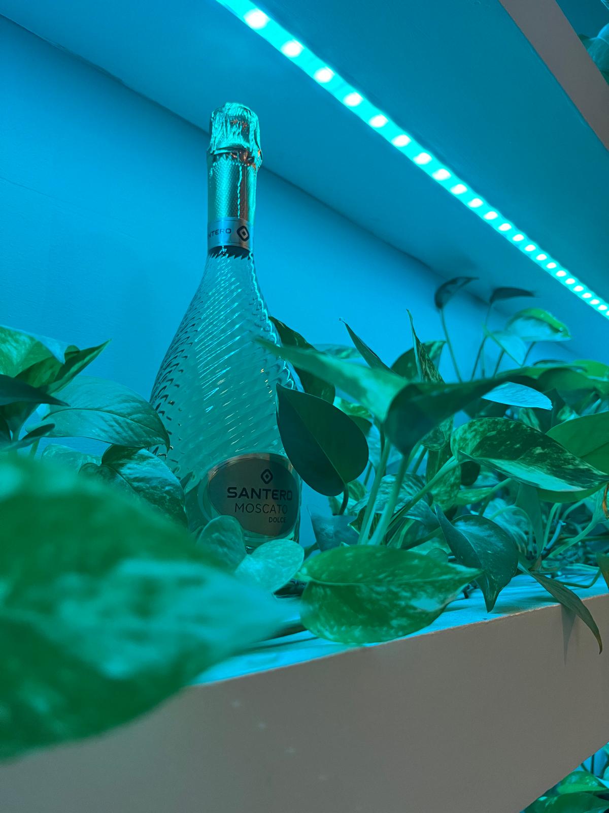 Ambiente caldo e accogliente